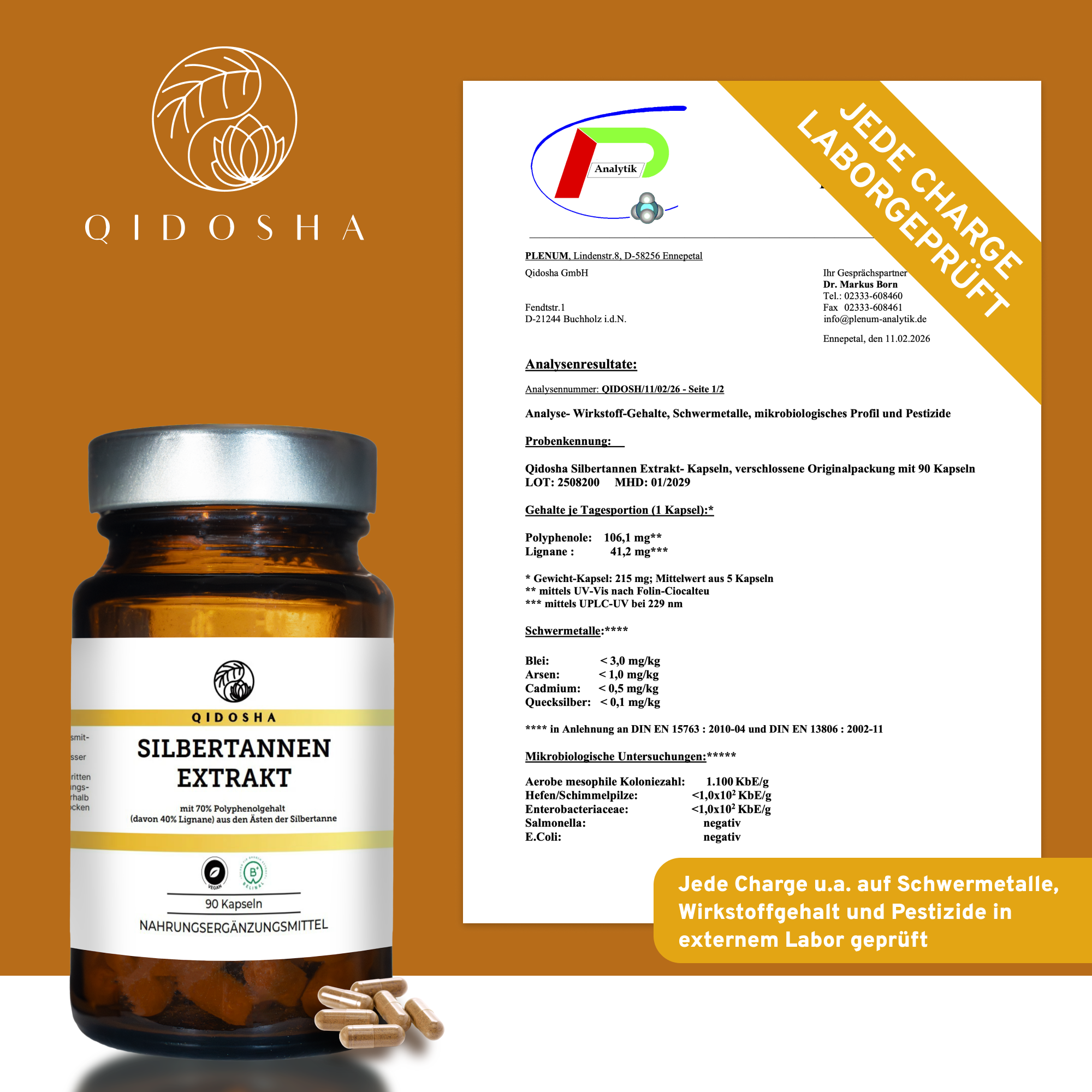 Silbertannen-Extrakt-Kapseln von QIDOSHA, 90 Stück im braunen Glas, Premiumqualität mit 70% Polyphenolen, laborgeprüft, ohne Füllstoffe, nachhaltige Verpackung, inkl. Laborzertifikat.