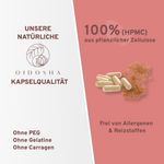 QIDOSHA Fisetin-Kapseln: 100% pflanzlich, laborgeprüfte Qualität, ohne Füllstoffe. Enthält Fisetin aus Perückenstrauch und Piperin. Nachhaltig in Glas verpackt. Premium-Nahrungsergänzungsmittel.