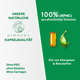 Qidosha Algenöl Plus: Omega 3 Fettsäuren aus veganer Quelle plus Vitamine D & K. Premium, laborgeprüfte Kapseln ohne Füllstoffe, aus pflanzlicher Zellulose.