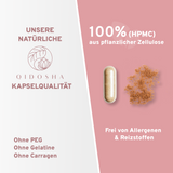 Qidosha Rosskastanie, Rotes Weinlaub, Acerola Kapseln; pflanzlich, laborgeprüft, frei von Zusatzstoffen, in nachhaltigem Glas. Premium-Qualität mit natürlichen Extrakten und Vitamin C.