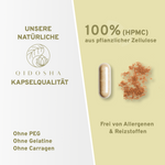 Artemisia (Beifuß) Extrakt: Premium-Pflanzenkapseln, laborgeprüft, frei von Füllstoffen, garantierter Wirkstoffgehalt, 100 % pflanzliche Zellulose, hergestellt in nachhaltigen Gläsern in Deutschland.
