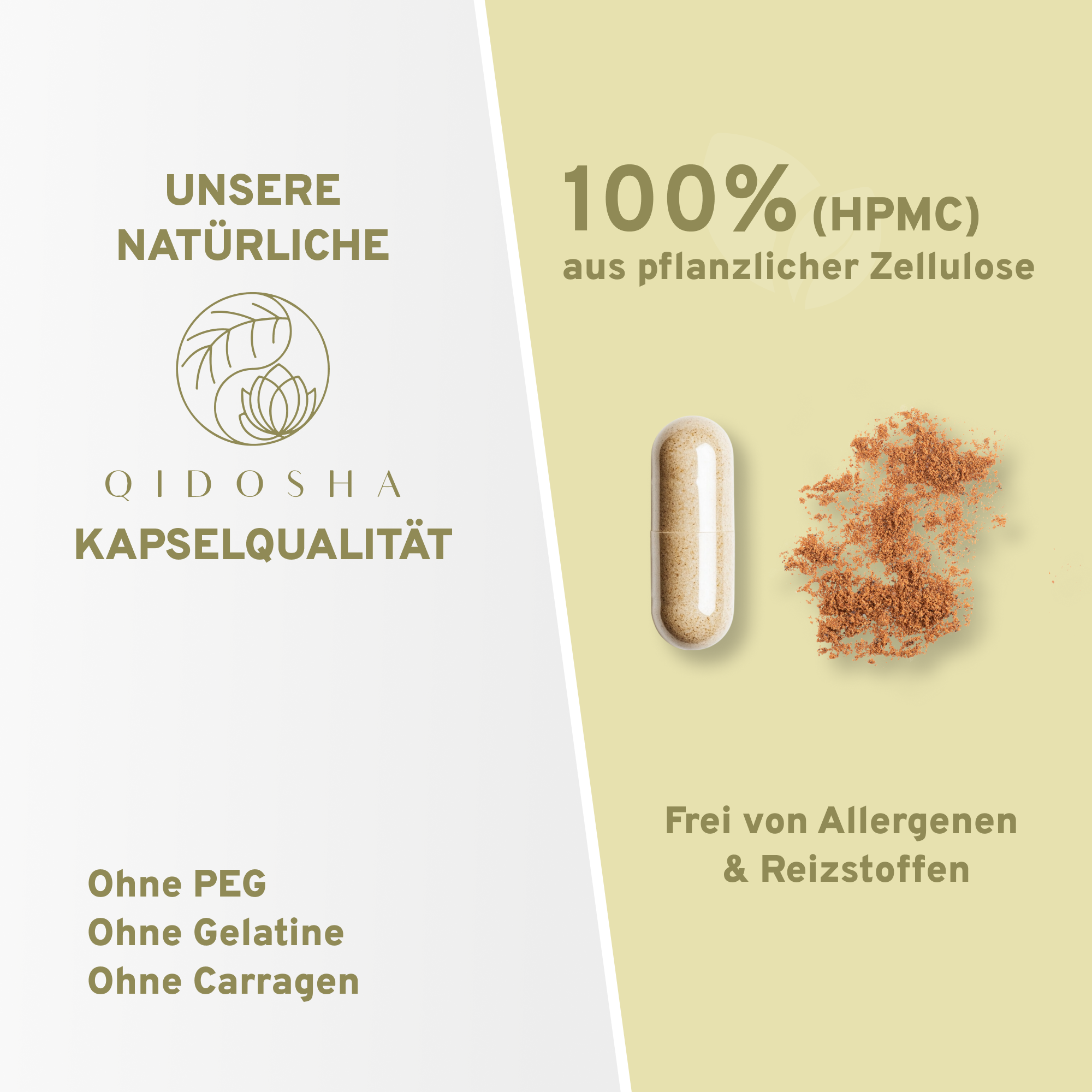 Artemisia (Beifuß) Extrakt: Premium-Pflanzenkapseln, laborgeprüft, frei von Füllstoffen, garantierter Wirkstoffgehalt, 100 % pflanzliche Zellulose, hergestellt in nachhaltigen Gläsern in Deutschland.