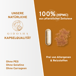 QIDOSHA Taxifolin-Kapseln: 100% pflanzliche HPMC, ohne Gelatine, PEG, Carrageen, allergenfrei. Premium-Qualität, laborgeprüft, nachhaltige Verpackung, Akazienfaser als Füllstoff.