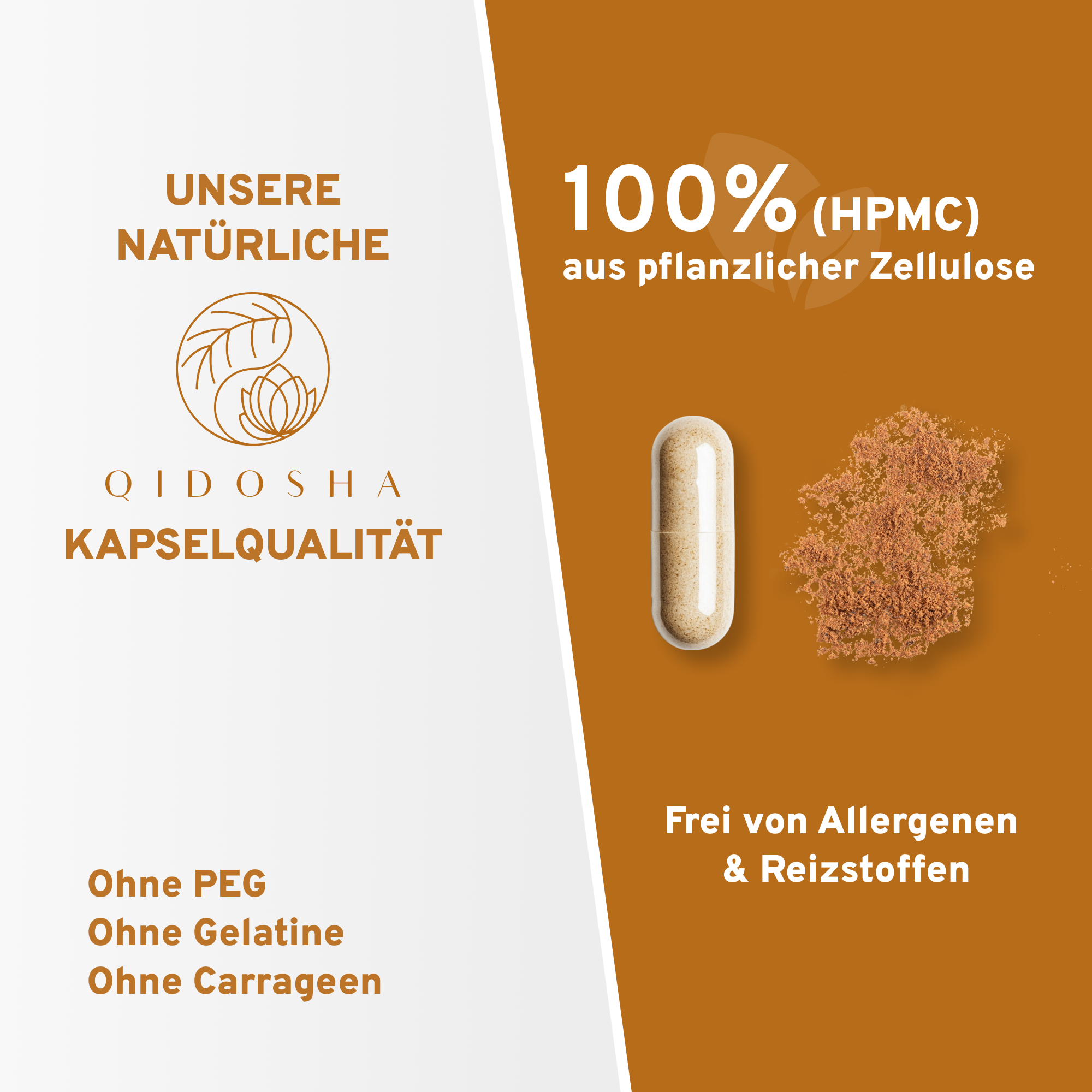 QIDOSHA Taxifolin-Kapseln: 100% pflanzliche HPMC, ohne Gelatine, PEG, Carrageen, allergenfrei. Premium-Qualität, laborgeprüft, nachhaltige Verpackung, Akazienfaser als Füllstoff.