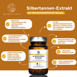 QIDOSHA Silbertannen-Extrakt: Premium Nahrungsergänzungsmittel, 90 Kapseln. Laborgeprüft, ohne Füllstoffe, reich an Polyphenolen und Lignanen, hohe Qualität, hergestellt in Deutschland.