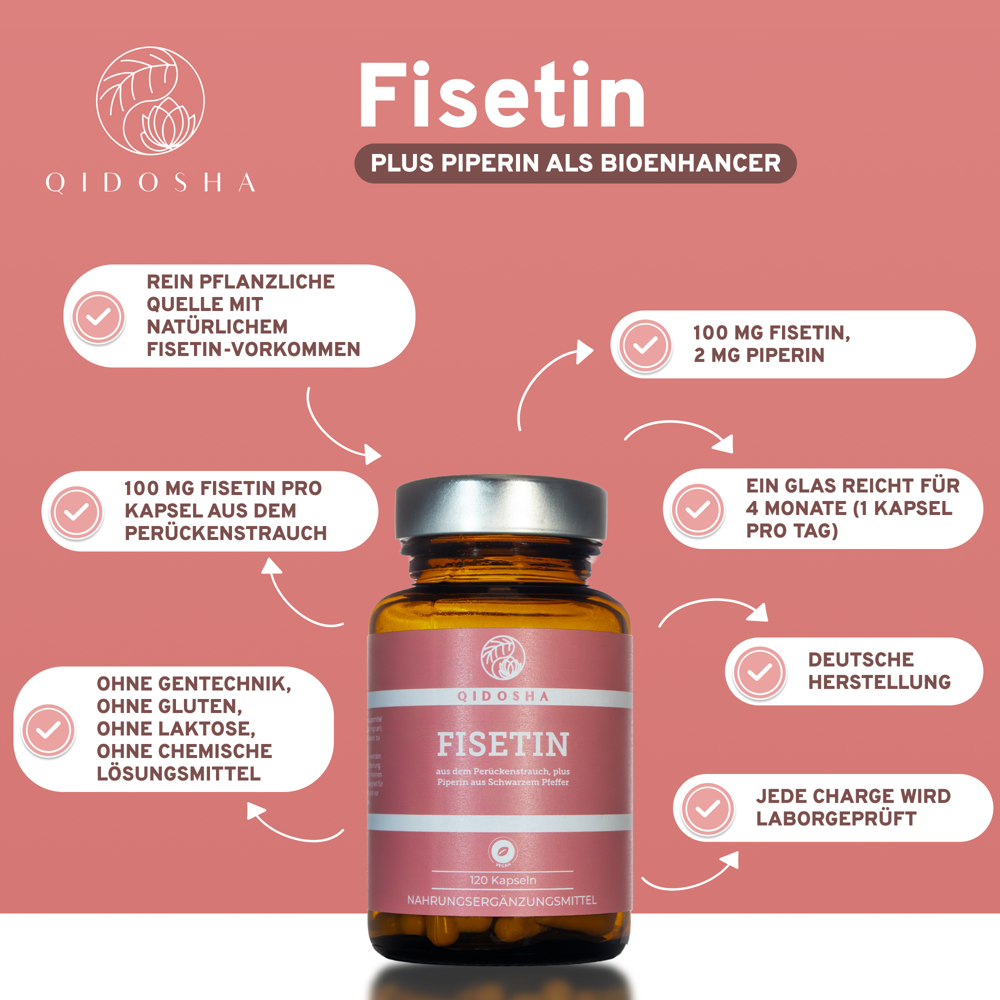 Qidosha Fisetin Plus Piperin: Premium, veganer Nahrungsergänzungsmittel in Glasflasche, laborgeprüft, ohne Füllstoffe, 120 Kapseln, 100 mg Fisetin je Kapsel, deutsche Herstellung.