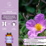 Produktabbildung von QIDOSHA Cistus Incanus (Zistrose) Extrakt: Braune Glasdose mit violettem Etikett, lose Kapseln; Premium-Zistrosenextrakt, vegan, laborgeprüft, ohne Zusatzstoffe.
