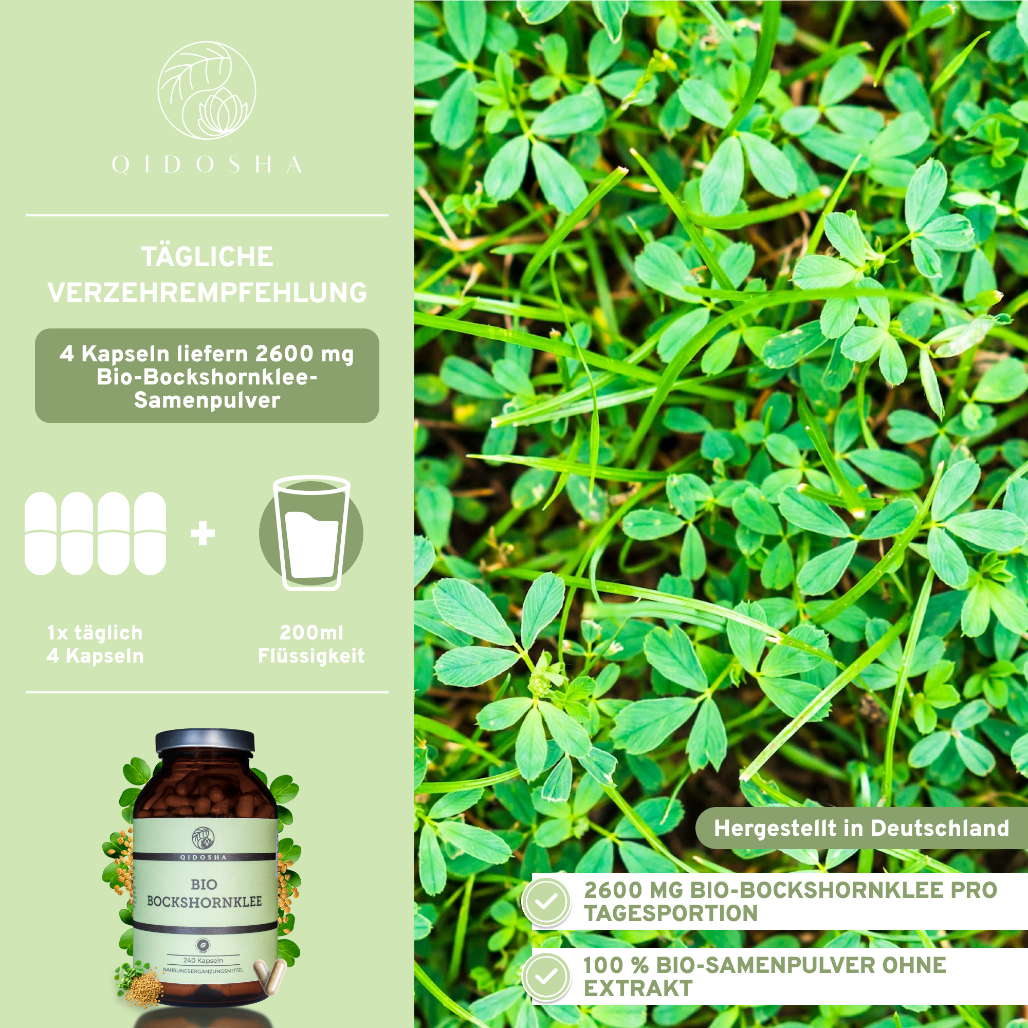 Bio Bockshornklee - 240 Kapseln in Premium Qualität - Apothekerglas - Clean Label - hochdosiert