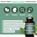 Kalmegh Extrakt
