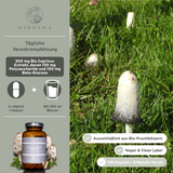 Bio Coprinus Extrakt
