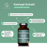 Kalmegh Extrakt