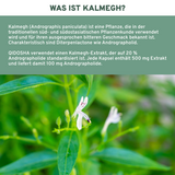 Kalmegh Extrakt