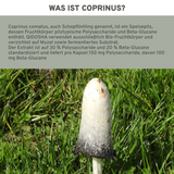 Bio Coprinus Extrakt