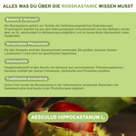 Infografik über die Rosskastanie, enthalten im Premium Brennnessel, Rosskastanie, Weinrebenblatt plus Kupfer & Mangan Komplex, bekannt für hohe, laborgeprüfte Qualität und ohne Zusatzstoffe. Ab Januar 2026 verfügbar.