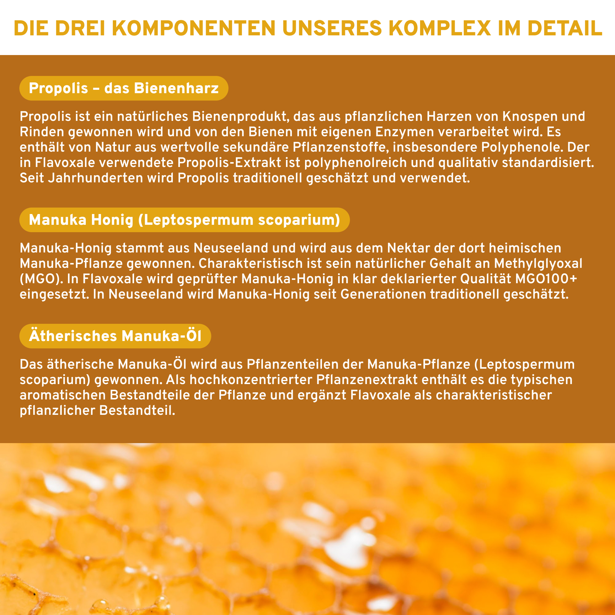 Propolis & Manuka Komplex mit Flavoxale®: Premium-Nahrungsergänzung, enthält Propolis-Extrakt, Manuka-Honig MGO100+, ätherisches Manuka-Öl. Laborgeprüfte Qualität, ohne Füllstoffe.