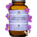 Qidosha Cistus Incanus Extrakt: Premium-Nahrungsergänzungsmittel in einem Apothekerglas mit 240 veganen Kapseln, standardisiert auf 10% Ellagitannine, umgeben von Cistus-Blüten.