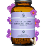 Qidosha Cistus Incanus Extrakt: Premium-Nahrungsergänzungsmittel in einem Apothekerglas mit 240 veganen Kapseln, standardisiert auf 10% Ellagitannine, umgeben von Cistus-Blüten.