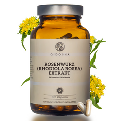 QIDOSHA Rosenwurz (Rhodiola rosea) Extrakt Kapseln im Premium-Apothekerglas, 120 vegane Kapseln, laborgeprüft, garantiert 3% Rosavin, 1% Salidrosid, ohne Zusatzstoffe.