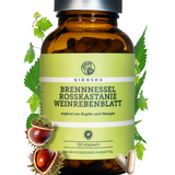 QIDOSHA Premium-Glas mit 120 veganen Kapseln: Brennnessel, Rosskastanie, Weinrebenblatt, ergänzt mit Kupfer und Mangan, ohne Zusatzstoffe, laborgeprüfte Qualität, ab Januar 2026 verfügbar.