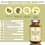 Polyporus (Eichhase) Extrakt von Qidosha: Hochdosierte, laborgeprüfte Premium-Kapseln mit 30% Polysacchariden, ohne Zusatzstoffe, in nachhaltigem Braunglas, 100% vegan.