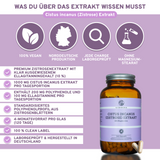 Cistus Incanus (Zistrose) Extrakt in veganen Kapseln, 240 Stück, laborgeprüft, ohne Zusatzstoffe, 1000 mg Extrakt pro Tagesportion, hergestellt in Deutschland, nachhaltige Glasverpackung.