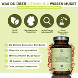 Vitamina B12 (vegetal) de extrato orgânico de shiitake // vss. disponível a partir de dezembro de 2025