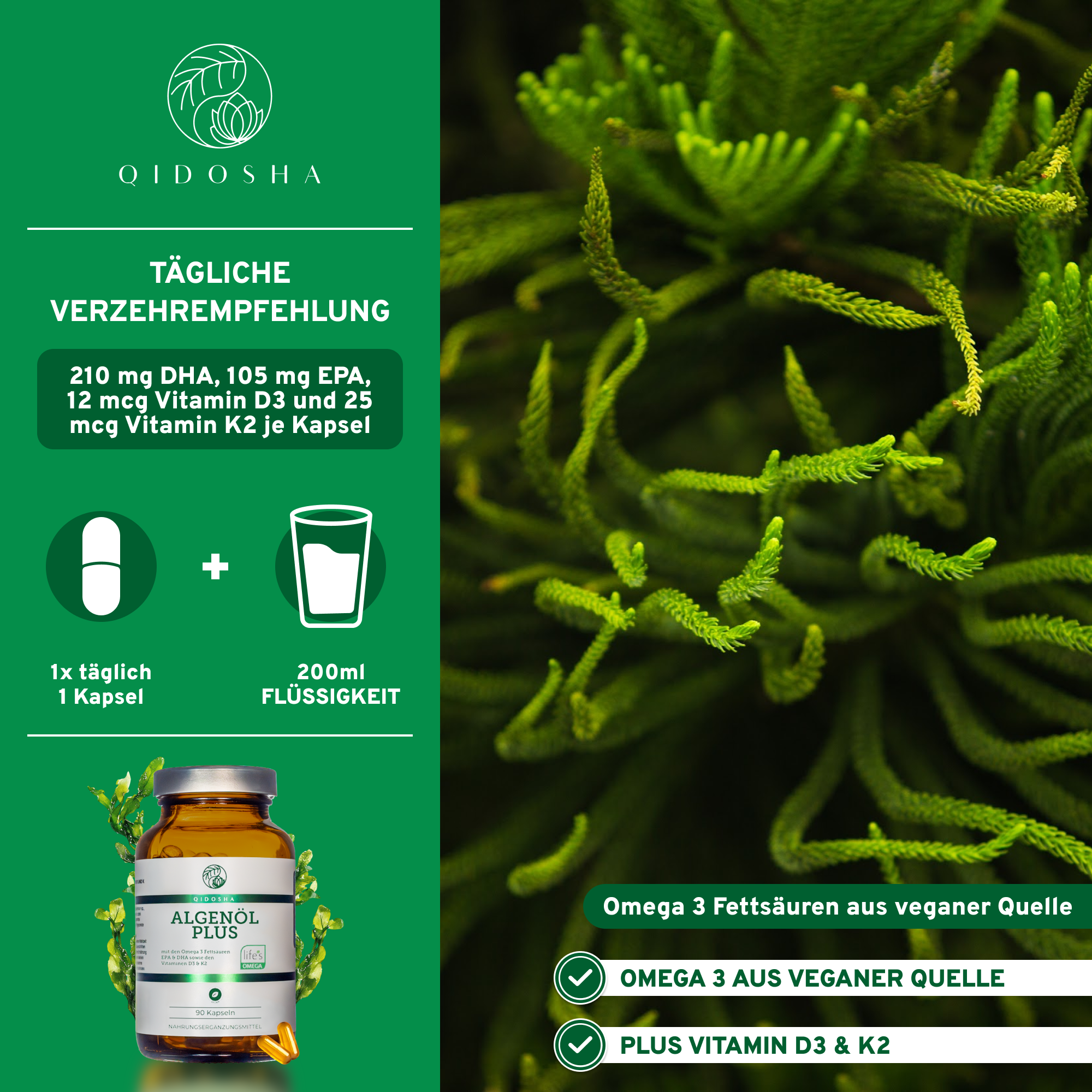Qidosha Algenöl Plus: Premium Omega-3-Fettsäuren aus veganer Quelle, ergänzt durch Vitamine D3 und K2. Hochwertige, laborgeprüfte Qualität, ohne Füllstoffe, in nachhaltigem Glas.
