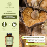 Vitamina B12 (vegetal) de extrato orgânico de shiitake // vss. disponível a partir de dezembro de 2025