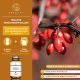 QIDOSHA Berberin aus Berberitzenextrakt plus Piperin als Bioenhancer: Premium-Nahrungsergänzungsmittel, 180 Kapseln in Glasdose, 100% rein, laborgeprüft, ohne Zusatzstoffe, für bessere Bioverfügbarkeit.
