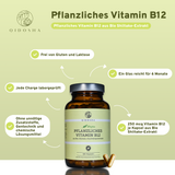 Vitamina B12 (vegetal) de extrato orgânico de shiitake // vss. disponível a partir de dezembro de 2025
