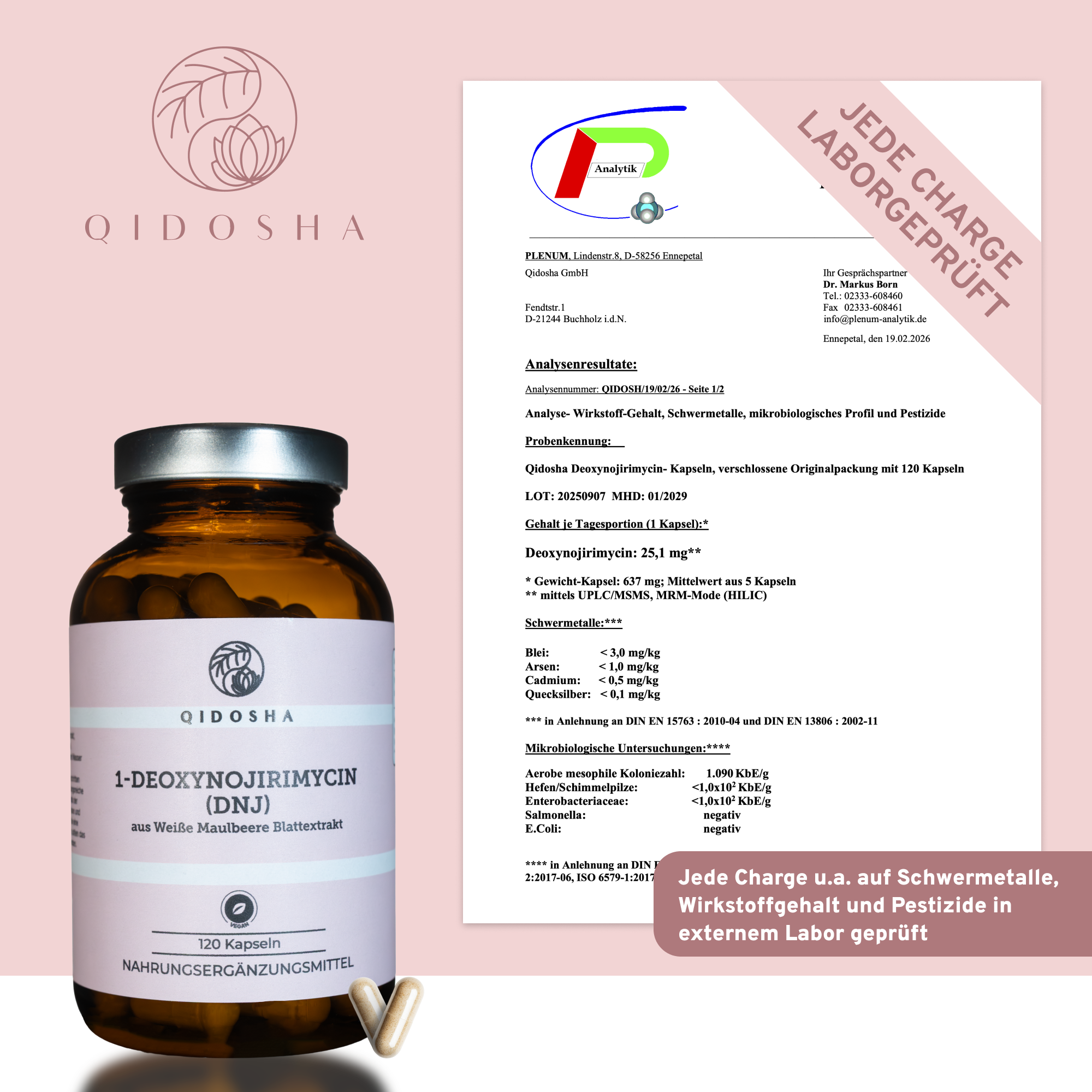 Weisse Maulbeere Extrakt mit 5% 1-Deoxynojirimycin (DNJ), laborgeprüftes Premium-Nahrungsergänzungsmittel in Glas. 120 Kapseln, ohne Füllstoffe, höchste Qualität.