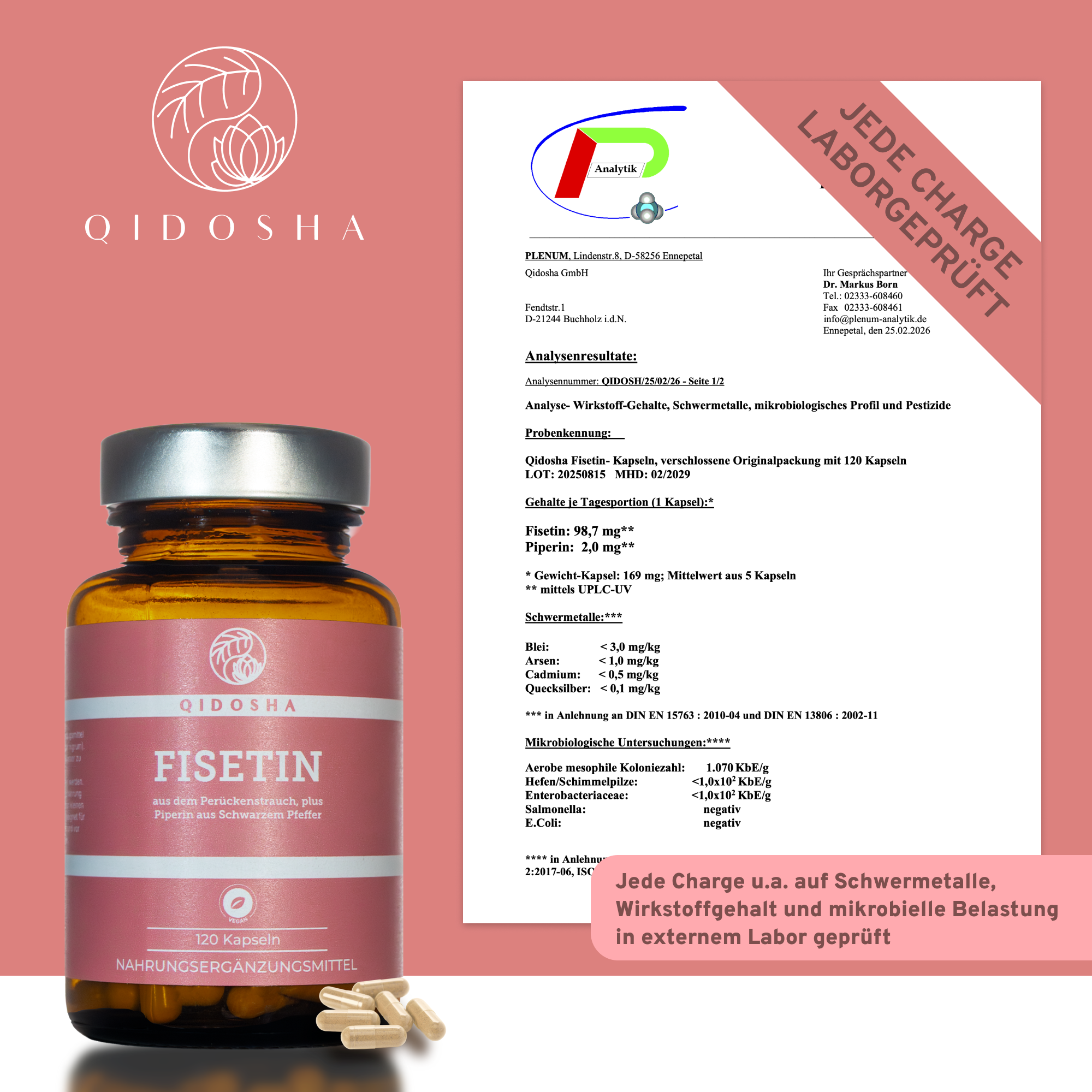 QIDOSHA Fisetin plus Piperin, Premium-Nahrungsergänzungsmittel im Glas, laborgeprüfte Qualität, ohne Füllstoffe, 120 vegane Kapseln, mit Qualitätszertifikat von Plenum Analytik.