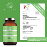 Bio Brahmi hochdosiert - 500 mg pro Tagesportion