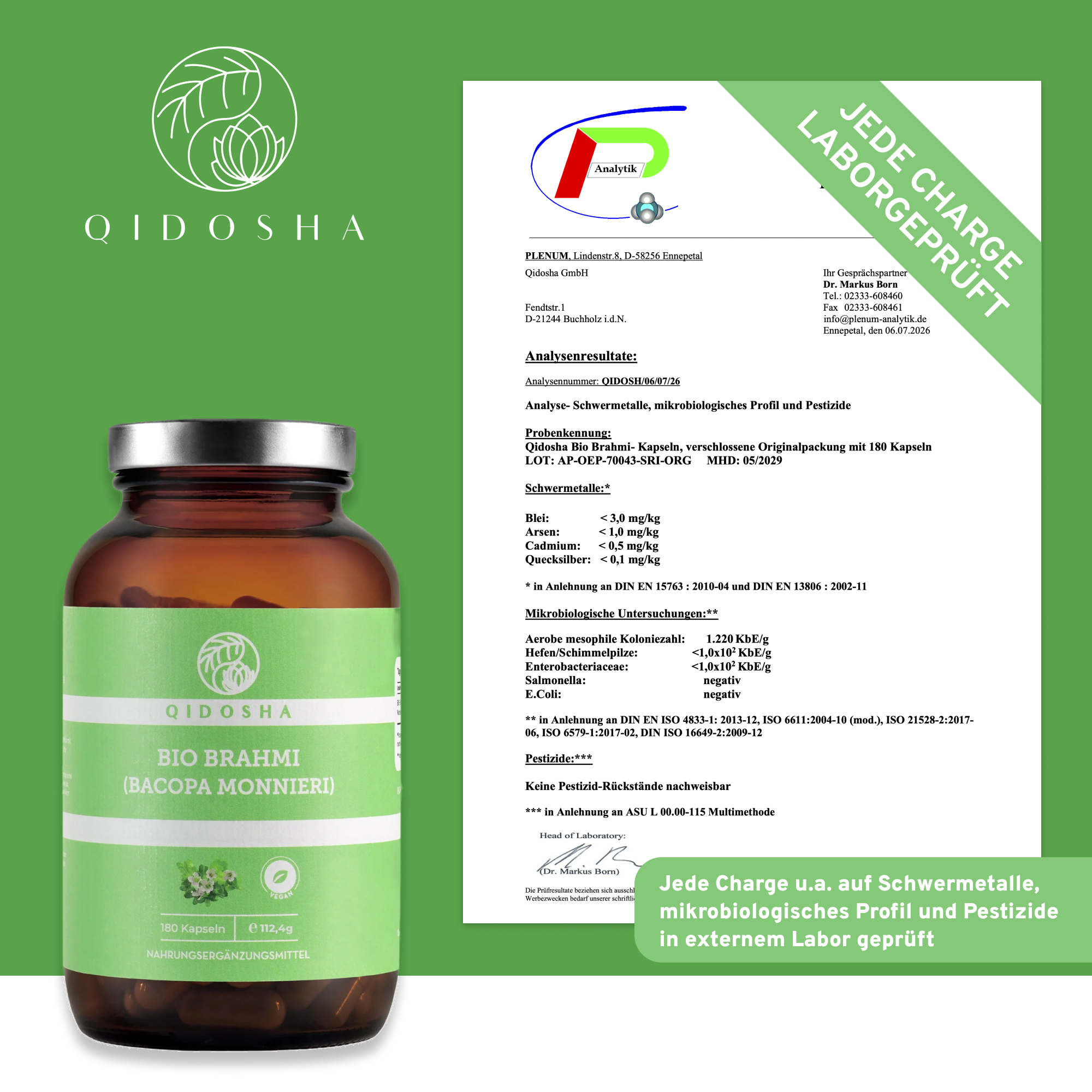 Bio Brahmi hochdosiert - 500 mg pro Tagesportion