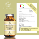 Braune Glasflasche mit QIDOSHA POLYPORUS (EICHHASE) EXTRAKT, 180 Kapseln, zertifiziert laborgeprüft, enthält 30% Polysaccharide, 10% Beta-Glucane, ohne Zusatzstoffe, Premium-Qualität.