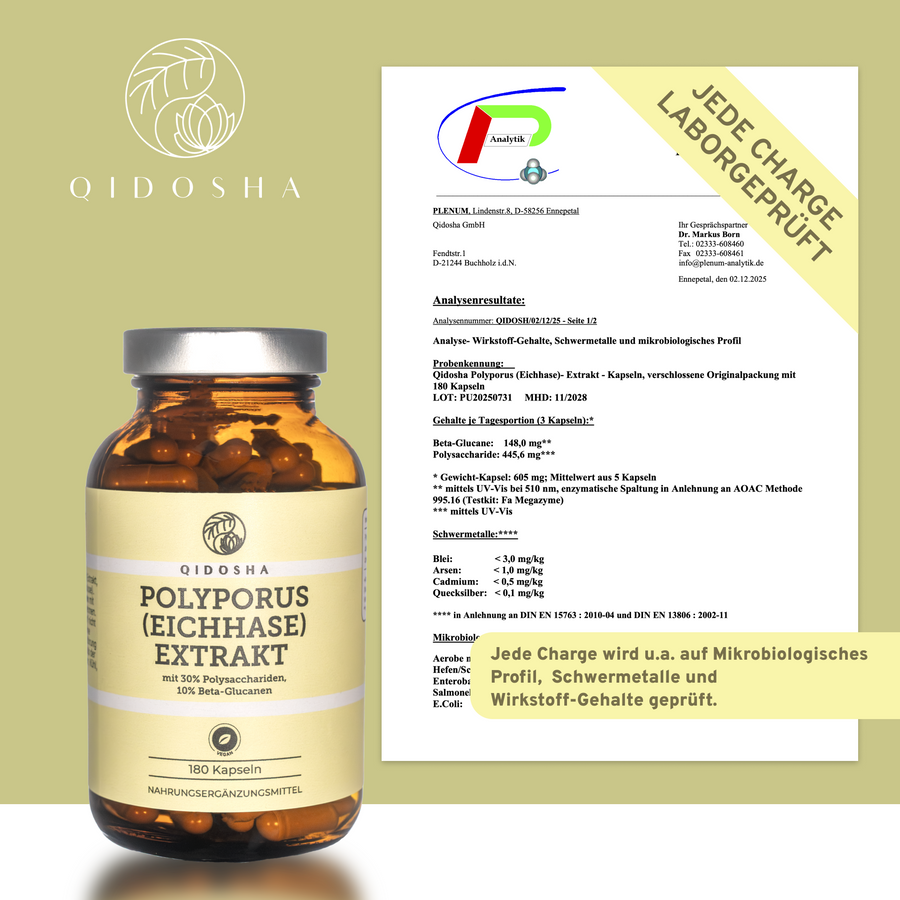 Braune Glasflasche mit QIDOSHA POLYPORUS (EICHHASE) EXTRAKT, 180 Kapseln, zertifiziert laborgeprüft, enthält 30% Polysaccharide, 10% Beta-Glucane, ohne Zusatzstoffe, Premium-Qualität.