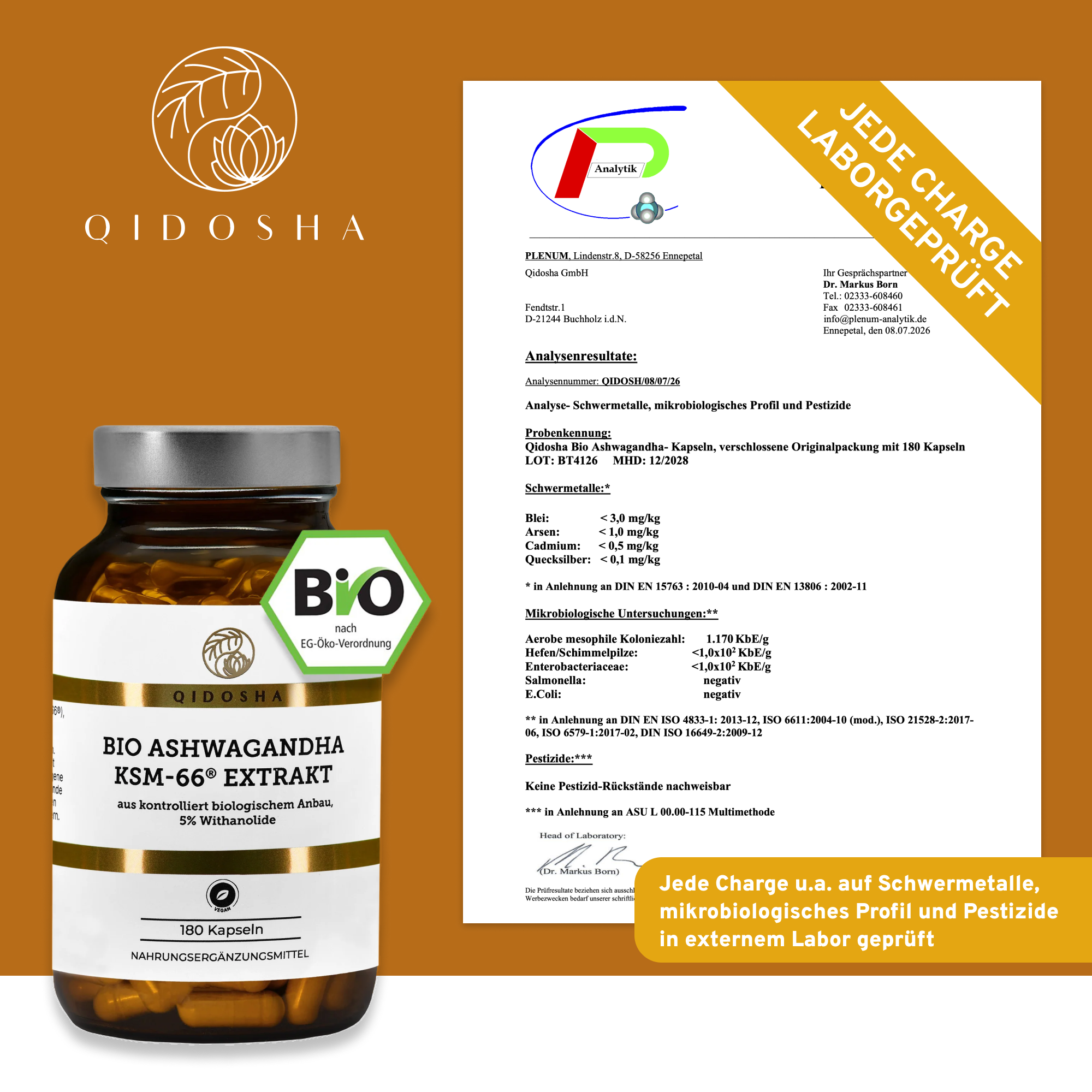 Bio Ashwagandha Extrakt KSM-66® in einer 180-Kapsel-Glasflasche, vegan, laborgeprüft, aus biologischem Anbau, höchste Qualität, ohne Füllstoffe, von QIDOSHA.