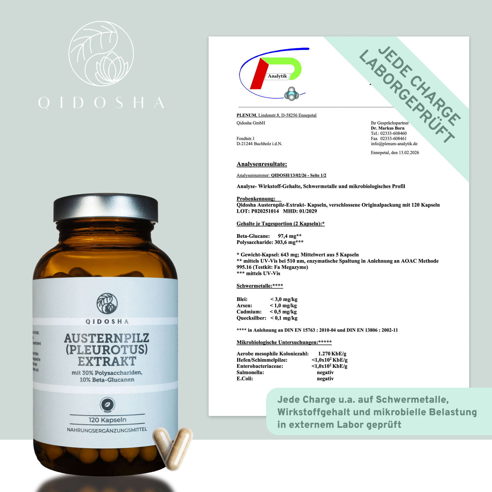 QIDOSHA Austernpilz (Pleurotus) Extrakt in braunem Glas, 120 Kapseln mit 30% Polysacchariden, 10% Beta-Glucanen, laborgeprüft, ohne Zusatzstoffe. Beigefügt: Laborzertifikat.