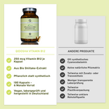 Vitamina B12 (vegetal) de extrato orgânico de shiitake // vss. disponível a partir de dezembro de 2025