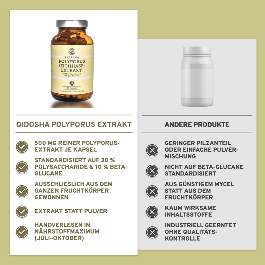 Qidosha Polyporus (Eichhase) Extrakt in Glas, 500 mg reiner Extrakt pro Kapsel, standardisiert auf Polysaccharide und Beta-Glucane, handverlesen und laborgeprüft.