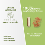 Werbegrafik für Premium-Brennnessel-Komplex-Kapseln mit Rosskastanie und Weinrebenblatt, plus Kupfer und Mangan. 100 % pflanzlich, allergenfrei, laborgeprüfte Qualität, ohne Zusatzstoffe.