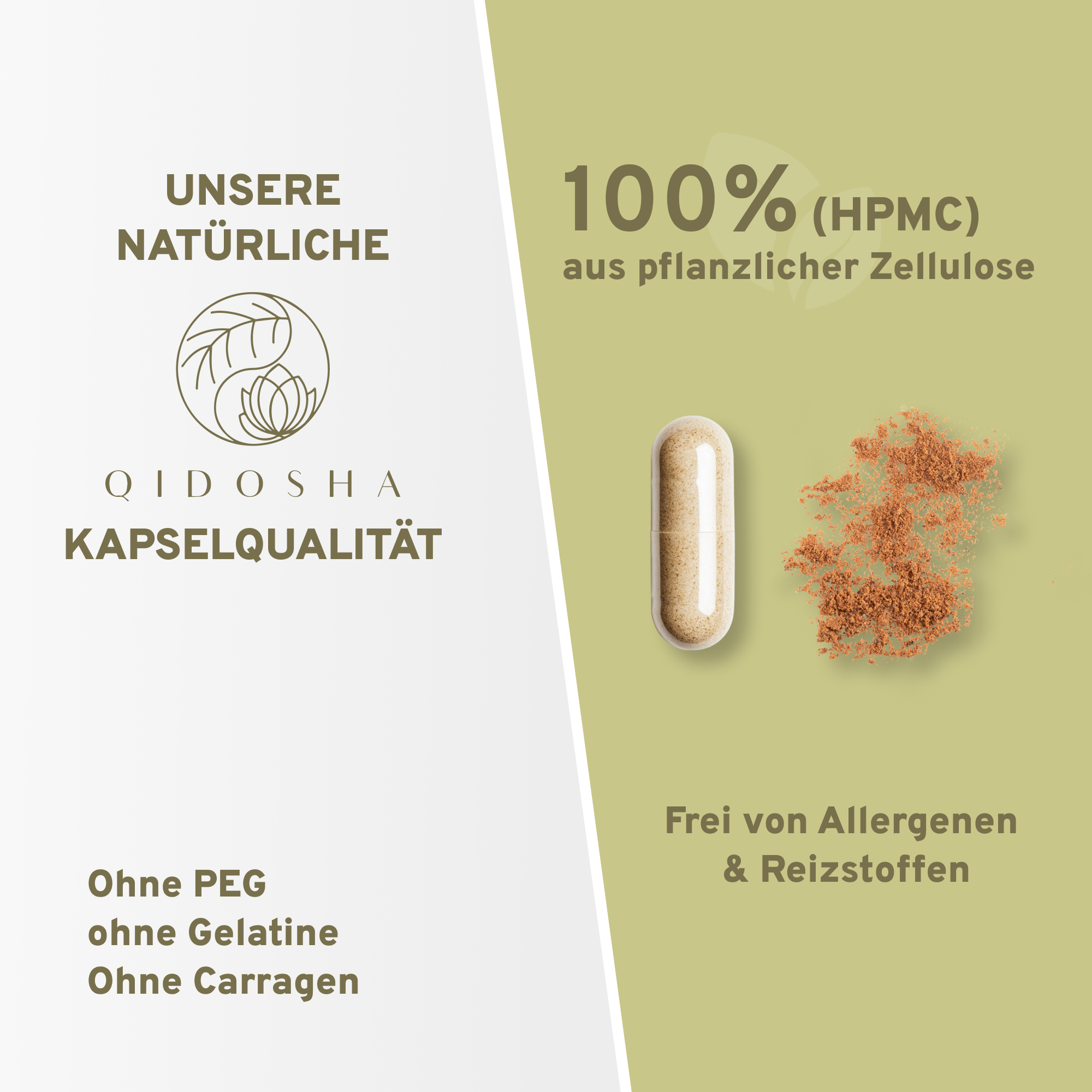 Polyporus (Eichhase) Extrakt: Premium-Kapseln aus pflanzlicher Zellulose, frei von Gelatine, Allergenen; 500mg hochdosiert, laborgeprüfte Qualität, ohne Füllstoffe, in nachhaltigem Apothekerglas.