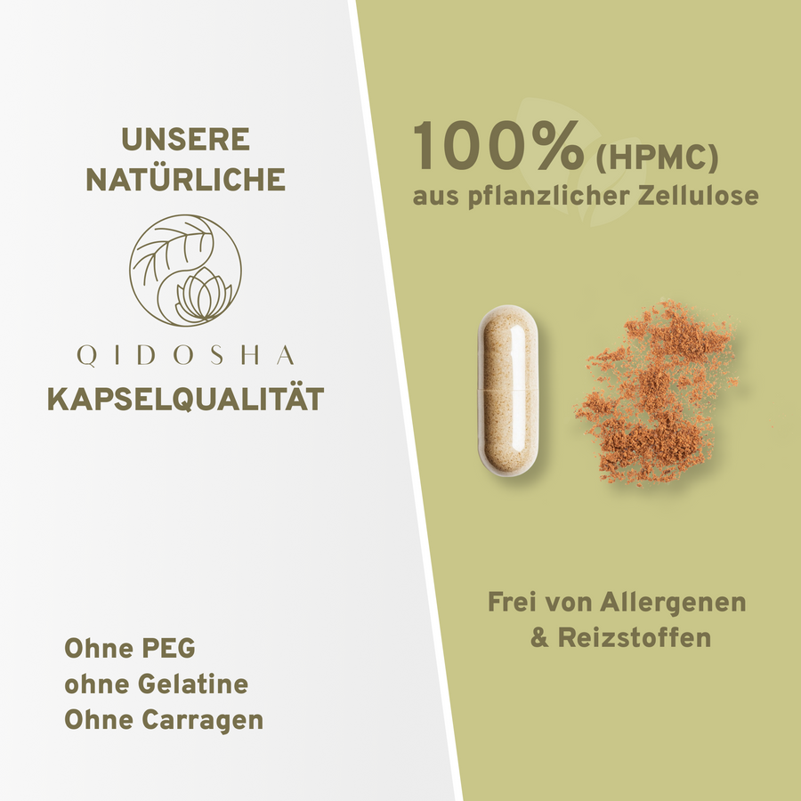 Polyporus (Eichhase) Extrakt: Premium-Kapseln aus pflanzlicher Zellulose, frei von Gelatine, Allergenen; 500mg hochdosiert, laborgeprüfte Qualität, ohne Füllstoffe, in nachhaltigem Apothekerglas.