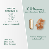 Austernpilz (Pleurotus) Extrakt Kapseln, 100% vegan, ohne Gelatine, allergenfrei, Premium-Qualität, mit 500mg Polysacchariden, laborgeprüft, wahres Clean Label, in nachhaltigem Glas verpackt.