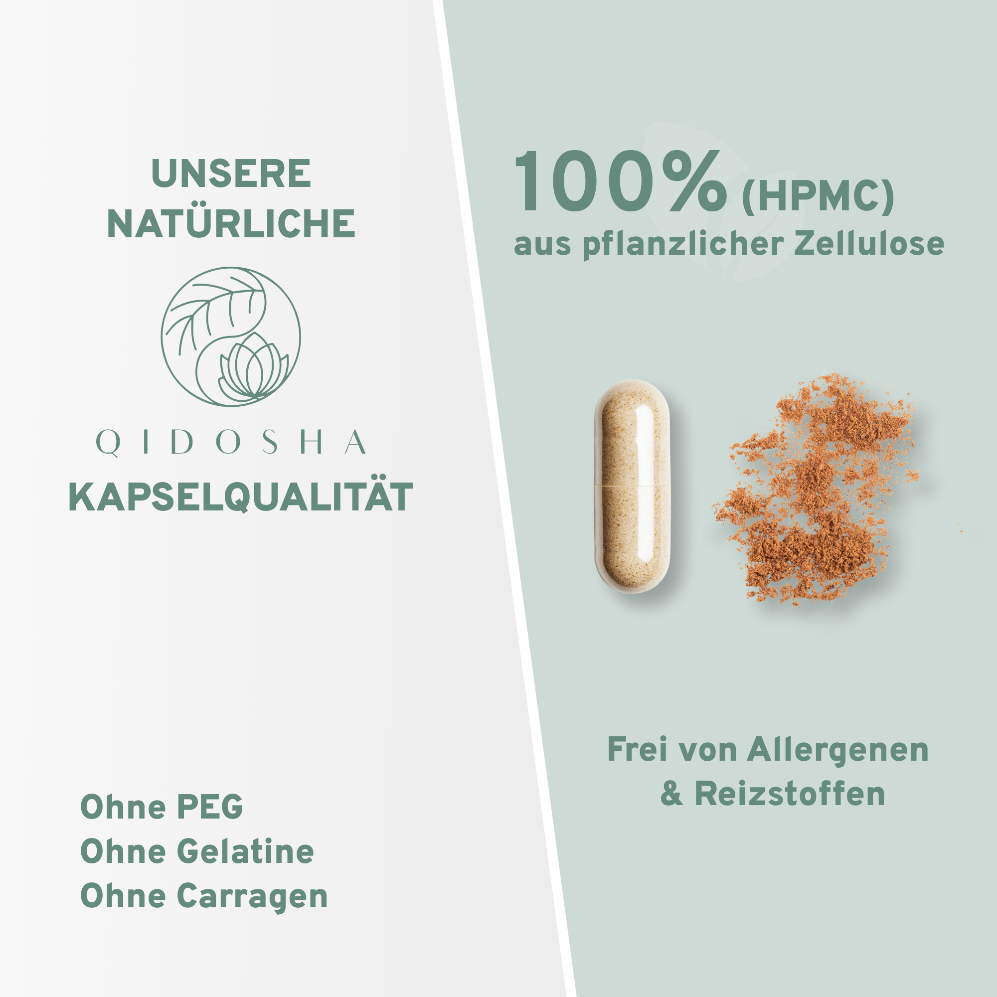 Austernpilz (Pleurotus) Extrakt Kapseln, 100% vegan, ohne Gelatine, allergenfrei, Premium-Qualität, mit 500mg Polysacchariden, laborgeprüft, wahres Clean Label, in nachhaltigem Glas verpackt.