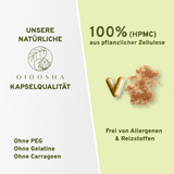 Vitamina B12 (vegetal) de extrato orgânico de shiitake // vss. disponível a partir de dezembro de 2025
