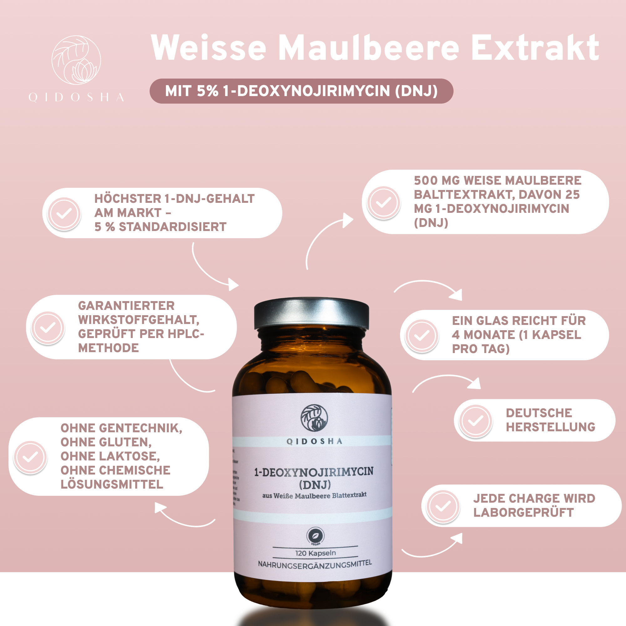 Weisse Maulbeere Extrakt mit 5% 1-Deoxynojirimycin (DNJ) von Qidosha: Premium, laborgeprüft und frei von Zusatzstoffen, in nachhaltigem Glas, 120 vegane Kapseln, deutsche Herstellung.