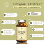 Polyporus (Eichhase) Extrakt in Premium-Qualität: 180 Kapseln, 500 mg je Kapsel, ohne Zusatzstoffe, laborgeprüft, aus Fruchtkörper. Hergestellt in Deutschland. Nachhaltiges Glas.