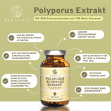 Polyporus (Eichhase) Extrakt in Premium-Qualität: 180 Kapseln, 500 mg je Kapsel, ohne Zusatzstoffe, laborgeprüft, aus Fruchtkörper. Hergestellt in Deutschland. Nachhaltiges Glas.