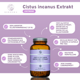 Cistus incanus (Zistrose) Extrakt von Qidosha: Premium, laborgeprüfte Kapseln, 240 Stück, mit 1.000 mg Extrakt pro Portion, vegan, ohne Zusatzstoffe. Nachhaltige Apothekerglasverpackung.